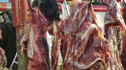 Curiga Harga Murah, Warga Lampung Timur Ungkap Penjualan Daging Celeng