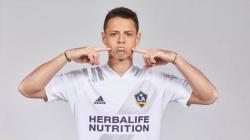 Javier Hernandez Bersedia Balik ke Man United: Saya Siap Main Gratis