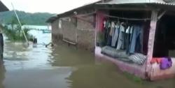 Banjir Rob Rendam Ribuan Rumah di Cilacap, Tambak dan Sawah Warga Rusak