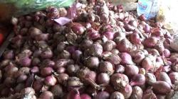 Harga Bawang Merah di Agam Naik jadi Rp28.000 per Kilogram