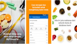 4 Aplikasi untuk Bantu Diet Usai Lebaran, Salah Satunya MyFitnessPal