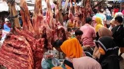 Berdikari Impor Daging Kerbau, Mulai Masuk Akhir Mei