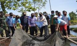 Usaha Ekonomi Produktif Karta Jaya Tarantang Padang Panen 1 Ton Ikan Nila<