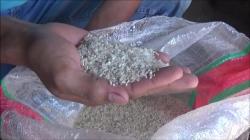 Berwarna Kuning dan Apek, Warga Keluhkan Beras Bantuan Pemkab Nganjuk