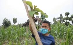 Harus Kerjakan Tugas, Anak-Anak Desa di Grobogan Naik Bukit Cari Sinyal Internet