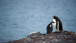 Ilmuwan Temukan Udara Terbersih di Bumi, Tempatnya Jauh Pemukiman Manusia