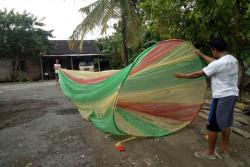 Balon Raksasa “Korona Matiyo” Jatuh di Perkebunan Jati Gunungkidul