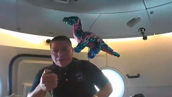 Astronot NASA Bawa Boneka Dinosaurus ke Luar Angkasa, Ini Kegunaannya