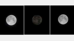 Penampakan Strawberry Full Moon dan Puncak Gerhana Bulan Penumbra