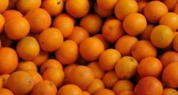 5 Manfaat Jeruk untuk Kesehatan, Salah Satunya Bisa Tingkatkan Kekebalan Tubuh