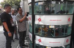 Ikan Hias Banyak Diburu untuk Usir Kejenuhan Selama Pandemi Covid-19