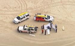  Peselancar Profesional Tewas Diserang Hiu Putih Raksasa di Australia