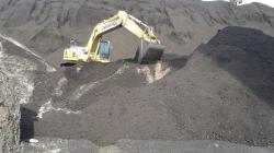 Anak Usaha PLN Ini Manfaatkan Energi Baru Terbarukan lewat Co-Firing Biomassa