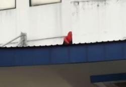 Video Seorang PSK Nekat Naik Atap GOR Ciracas Takut Rapid Test