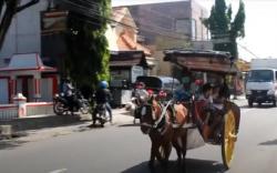 Kusir Dokar di Boyolali Cuma Kantongi Rp30.000 per Hari selama Pandemi Covid-19