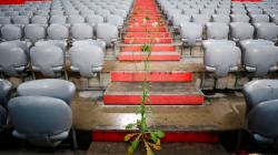 Lama Tak Terawat, Tribune Stadion Bayern Munchen Ditumbuhi Parasit