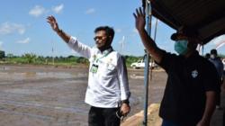 Mentan Sebut Food Estate di Kalteng Tak Hanya Ditanami Padi dan Jagung