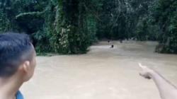 Bayi yang Terseret Banjir di OKU Ditemukan Tersangkut di Akar Pohon