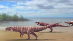 Spesies Buaya Purba Berjalan dengan 2 Kaki