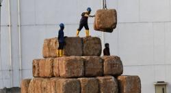 Banyak Proyek Terhenti, 60 Persen SDM Konstruksi Menganggur akibat Covid-19