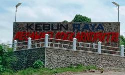 Penambang Emas Liar Tewas Tertimbun Longsor di Kebun Raya Megawati Soekarnoputri