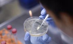 Hasil Penelitian Mengungkap Virus Corona Menular Lebih Cepat di Rumah Tangga