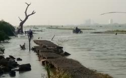 Warga Dukuh Mondoliko Demak Terancam Terisolasi karena Rob