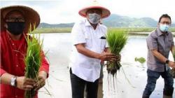 Olly Dondokambey Dorong Warga Manfaatkan Lahan Tidur di Tengah Pandemi Covid-19<