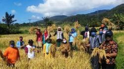 Program Irigasi Kementan Jaga Produksi Beras di Jawa Barat Stabil saat El Nino<