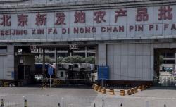 Belum Ada Bukti Virus Corona Bisa Menular dari Makanan