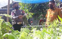 Polisi di Kulonprogo Sukses Kembangkan Pertanian Sistem Hidroponik di Masa Pandemi Covid-19