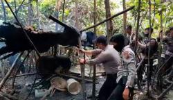 Diduga Bocor, Penggerebekan Pembuatan Miras Sopi di Hutan Timika Kosong