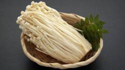 Tercemar Bakteri, Jamur Enoki Asal Korsel di Indonesia Ditarik