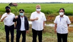 Menko Perekonomian Dorong Kalteng Jadi Lumbung Pangan Nasional