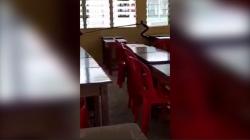 Video Ruang Sekolah Jadi Sarang Ular setelah Lama Tak Dipakai Belajar