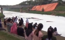 Video Gumpalan Busa Putih di Sepanjang Kanal Banjir Timur Jadi Perhatian Warga