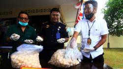 ABK Selundupkan 9.310 Butir Telur Penyu Ditangkap Polair Polda Kalbar