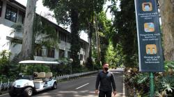 Tutup 4 Bulan akibat Covid-19, Kebun Raya Bogor Segera Dibuka