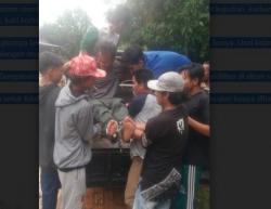 Teror Buaya Muara Resahkan Warga Bangka Tengah, 2 Orang Jadi Korban