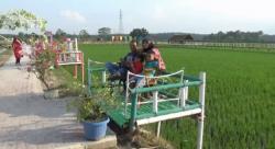 Areal Persawahan di Desa Punden Rejo Disulap jadi Destinasi Wisata Alam