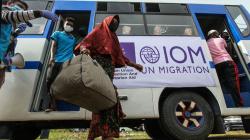 Pengungsi Rohingya Hidup Tentram di Blitar dan Tulungagung, Ada yang Kawini Warga Lokal 