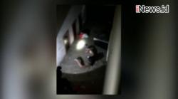 Video Tim SAR Selamatkan Warga Terjebak Banjir Bandang di Luwu Utara