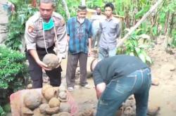 Video Warga Pasaman Temukan 2 Ton Peluru Meriam, Diduga Milik Pasukan Imam Bonjol