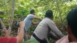 Kronologi Orang Rimba di Merangin Tewas Dililit Ular Piton, Sempat Hilang 3 Hari
