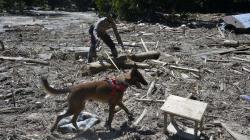 Anjing Pelacak Dikerahkan untuk Cari Korban Hilang Banjir Bandang Luwu Utara