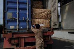 Serat Abaka Talaud Diekspor Perdana untuk Bahan Mata Uang Jepang