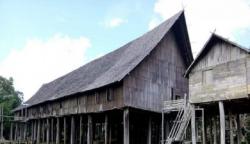 Rumah Betang Suku Dayak Senilai Rp11,5 Miliar Dibangun di Sintang