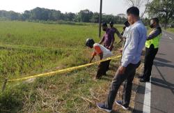 Ditinggal Memupuk Padi, Motor Petani Kulonprogo Hilang di Areal Persawahan