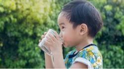 Minum 6 Gelas per Hari Pengaruhi Daya Tangkap dan Memori pada Anak