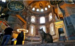 Kini Berstatus Masjid, Bagaimana Nasib Gli Si Penunggu Hagia Sophia?